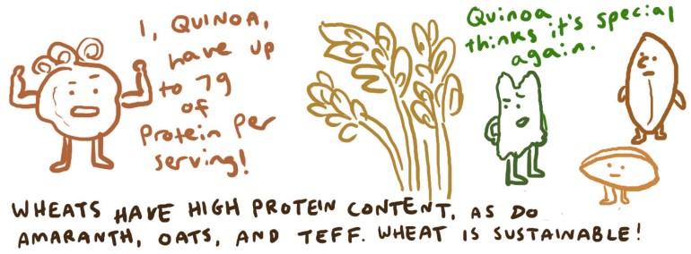 nutrition protein.jpg