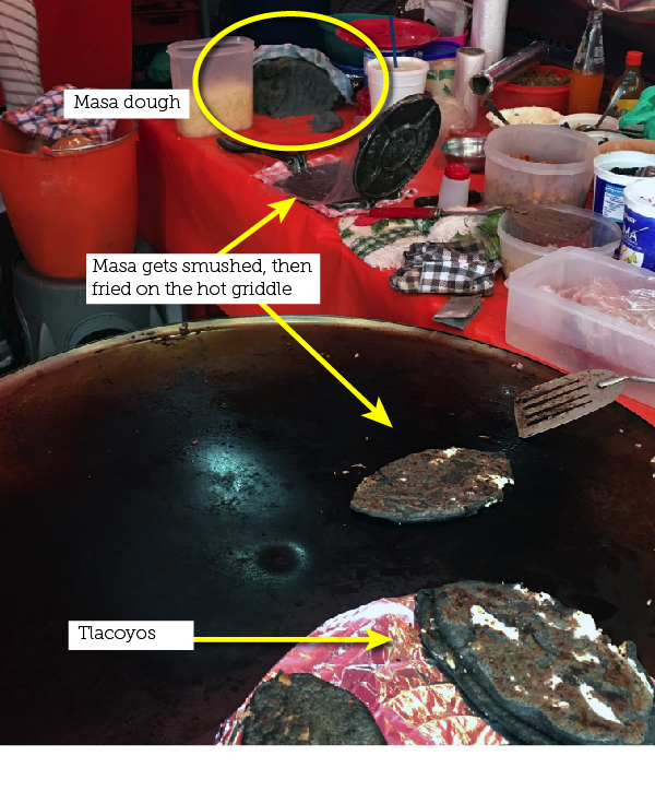 Diagram of masa and tlacoyos